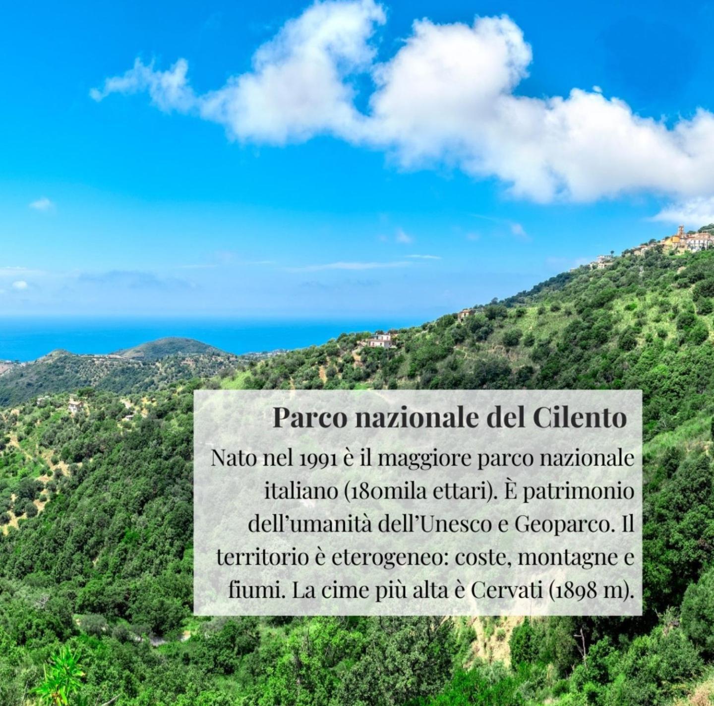 Nennella Cilento House Apartment Cuccaro Vetere Exterior photo